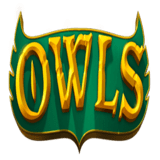 owls